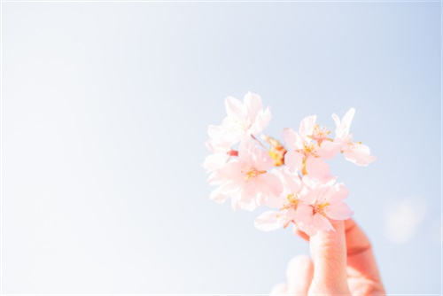 初中地理优秀教学案例