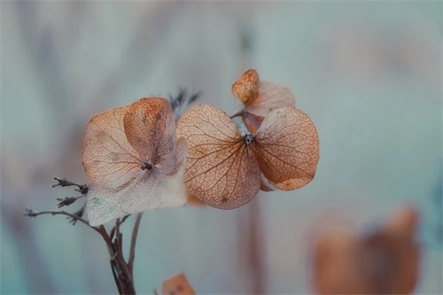 初中生物论文范例6篇