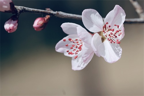地藏菩萨显灵范例6篇