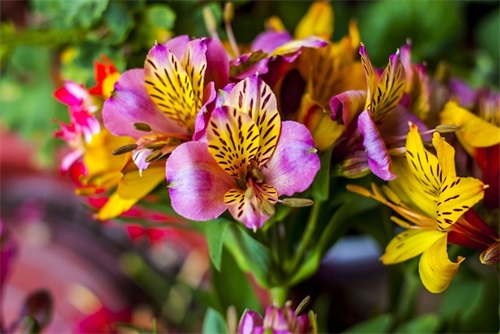 素质评价家长寄语 【高三综合素质评价家长寄语】