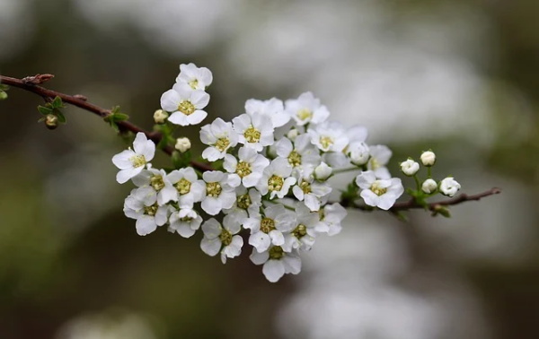 对特殊儿童的简短寄语 【对特殊儿童的希望和寄语】