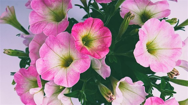 形容天气冷的句子