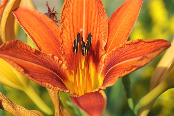 关于中考励志的句子95句