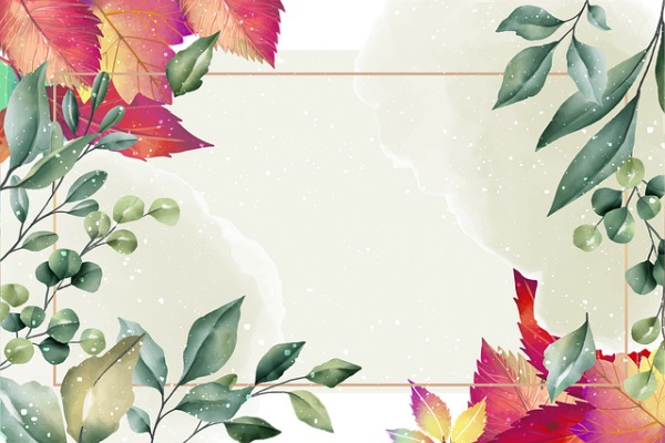 关于大海的句子段落 关于大海的句子段落