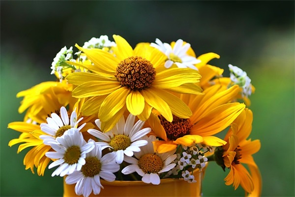 给学生的毕业寄语简短-59句