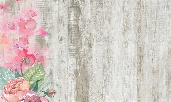 父母对孩子的成长寄语和期望幼儿园-54句