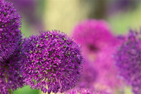 幼儿园对孩子的寄语-54句