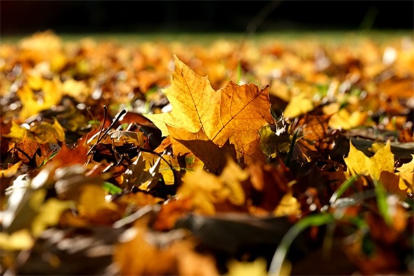 妈妈对孩子的幼儿园小班寄语简短一句话-51句