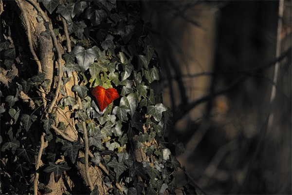 上初一给孩子的寄语-53句