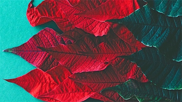 2025最火高考励志句子 2025最火高考励志句子