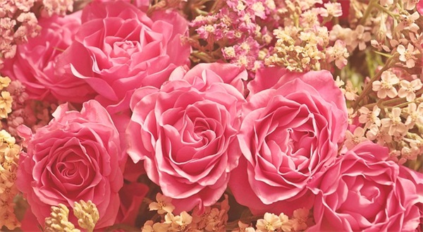 再见冥王星经典语录大全37条