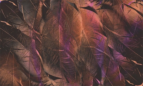 心动的句子200句