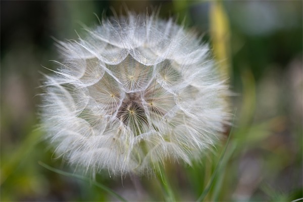 知书达理演讲稿范文