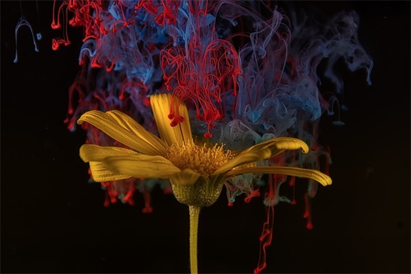 播音专业求职信