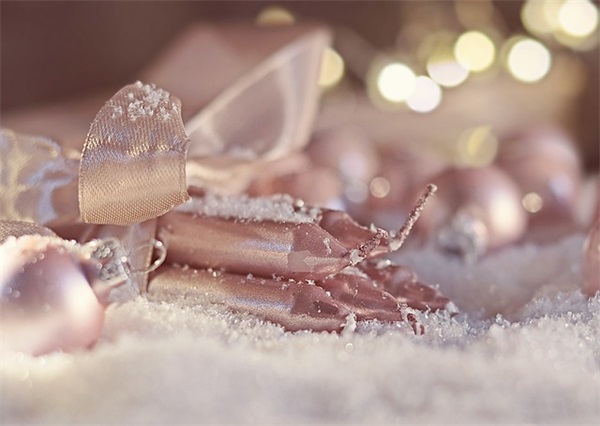 环保演讲稿范文高中