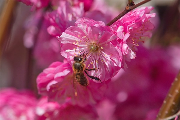 中考寄语或鼓励的话简短-64句