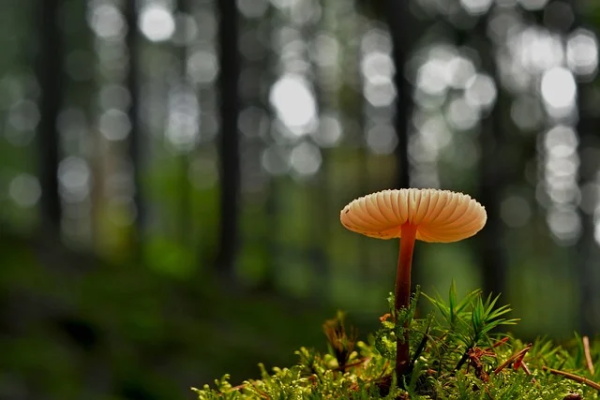 对萌宝宝的寄语-52句