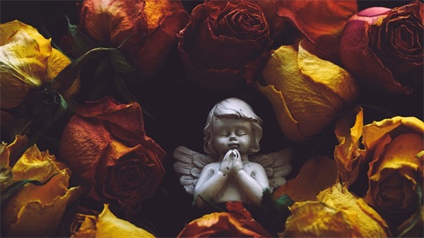 宝宝100天寄语简短-54句