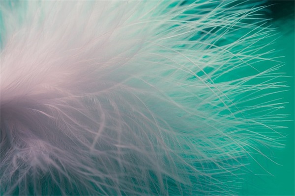 父母寄语精选20字幼儿园-53句