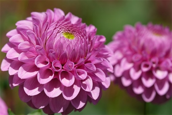 祭祀英烈寄语-50句