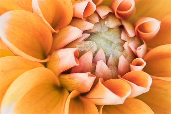 关于青春的寄语-60句