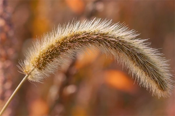 清明节祭英烈寄语-55句