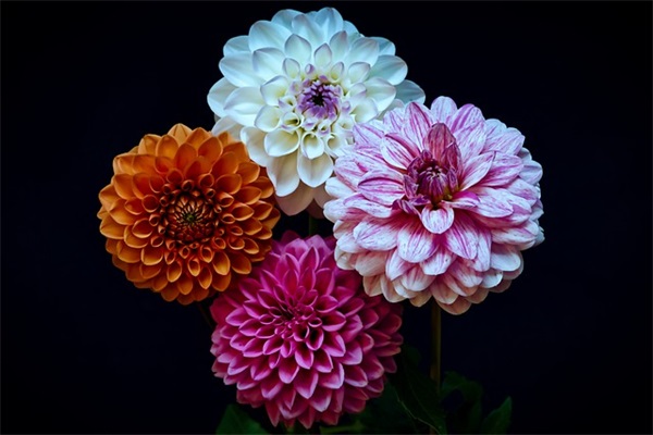 寄语大全之对初三学生校长寄语-72句