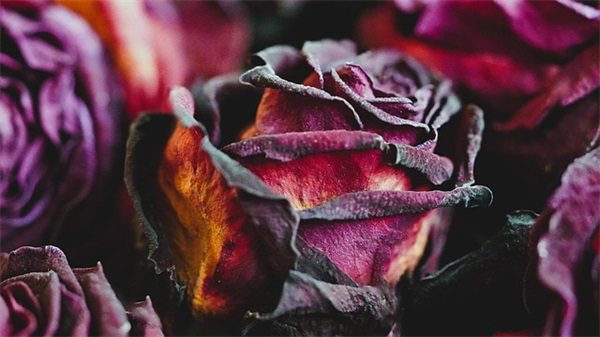 毕业生鼓励寄语-51句