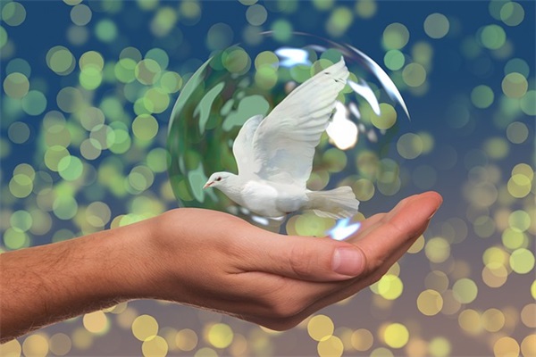 一年级学期期末家长寄语-39句