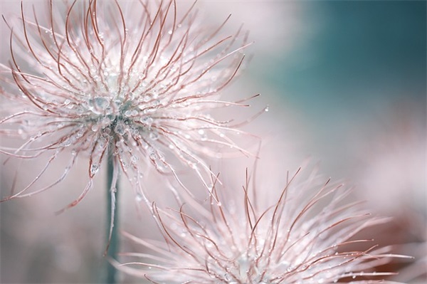 生日寄语致男朋友简短-60句