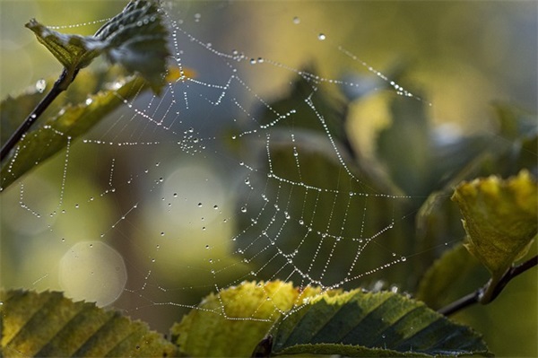 幼儿园家长对孩子的新年寄语简短-48句