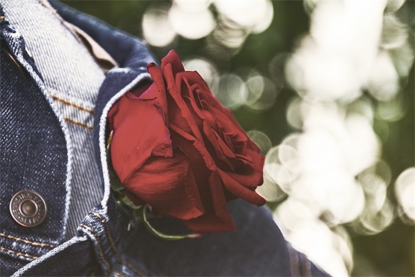 十二岁生日父母简短寄语-50句