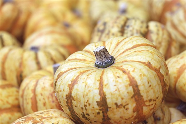 写给自己孩子的寄语-51句