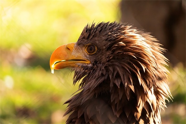 祝贺小宝宝出生的寄语-52句