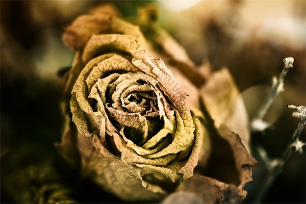 清明对先烈的寄语-50句