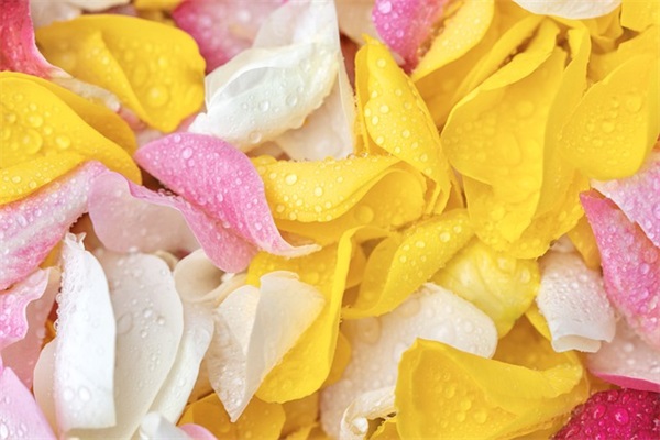 新生报到寄语-40句