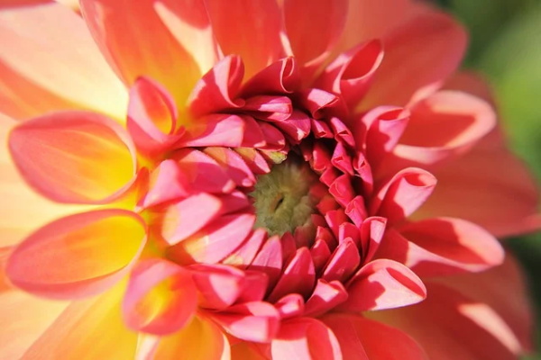 家长对孩子学习的寄语-39句