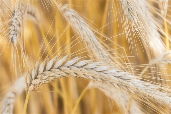 离婚寄语 简短-50句