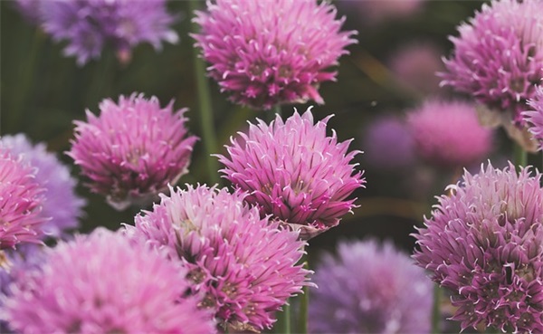 高三学生鼓励寄语-64句