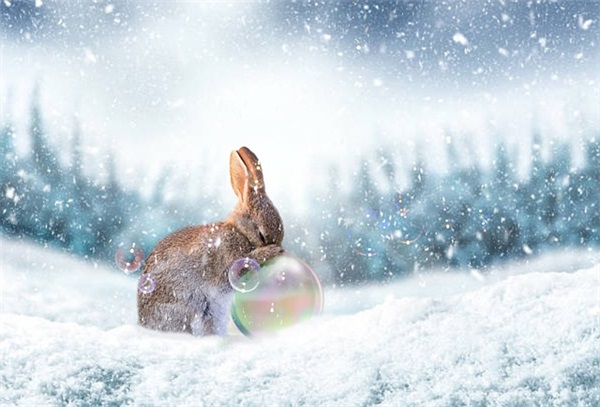 幼儿老师给幼儿当主持人的寄语-49句