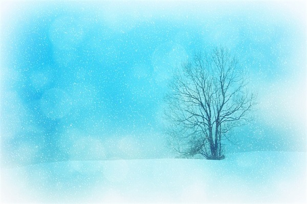 高三寄语或鼓励的话简短2025-55句