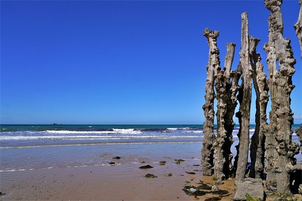 寄语唯美句子-50句