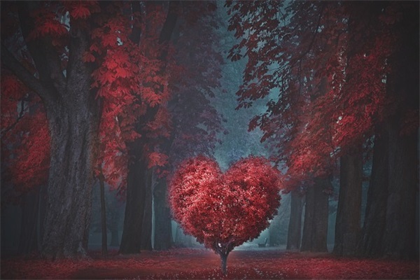 对孩子中考寄语-53句