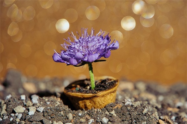 给高三同学的鼓励寄语-54句