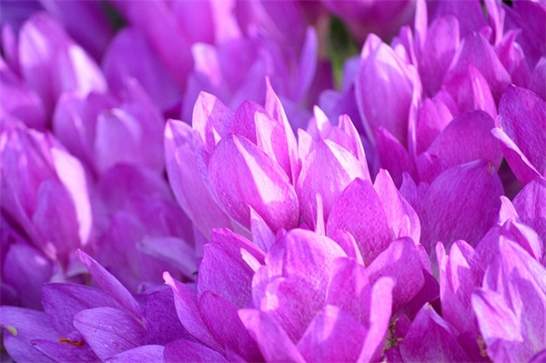 孩子生日寄语简短10个字-50句