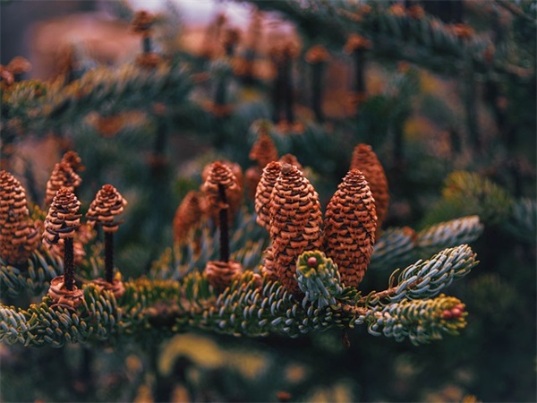 幼儿家长对孩子的寄语-28句