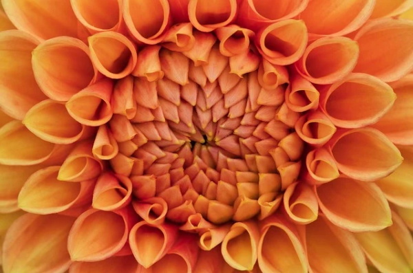 对孩子幼儿园毕业的寄语-24句