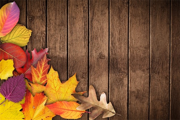 愿彼此安好简单句子 愿彼此一切安好的句子 愿彼此安好简单句子 愿彼此一切安好的句子