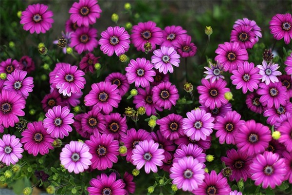 心情高兴激动的好句子 心情高兴激动的好句子