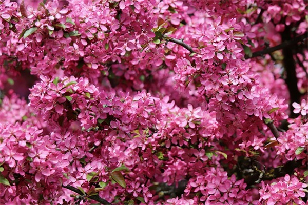 修身养性的优美句子